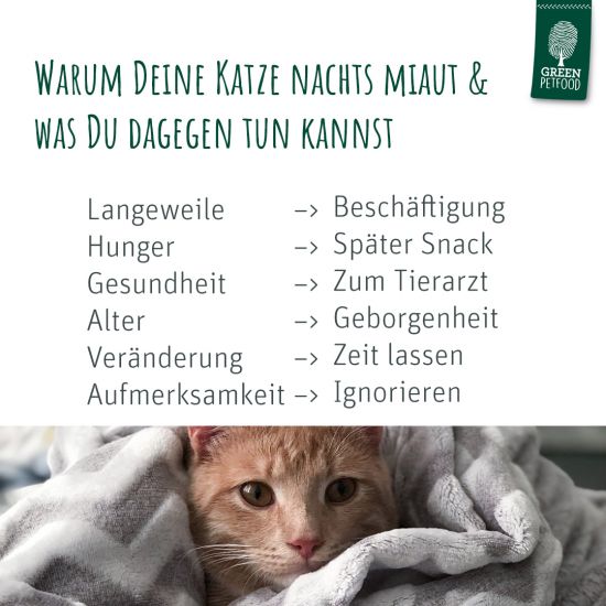 Checkliste_Katzemiaut_V2_4