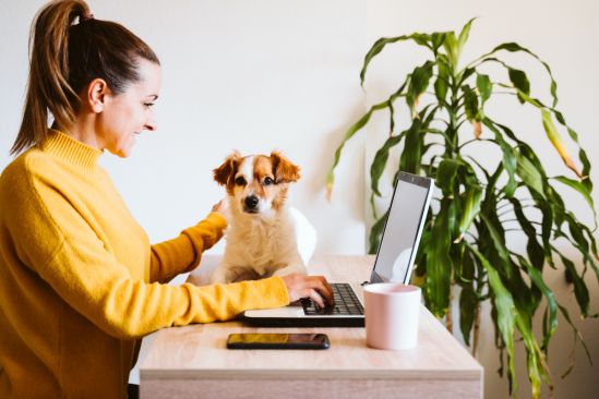 Homeoffice_mit_Hund_Bild1