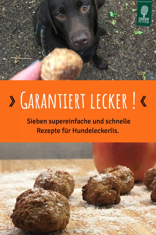 pin-diy-hundeleckerlis