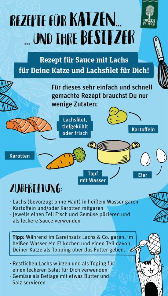 Rezepte für Katzen und Besitzer Sauce mit Lachs und Lachsfilet