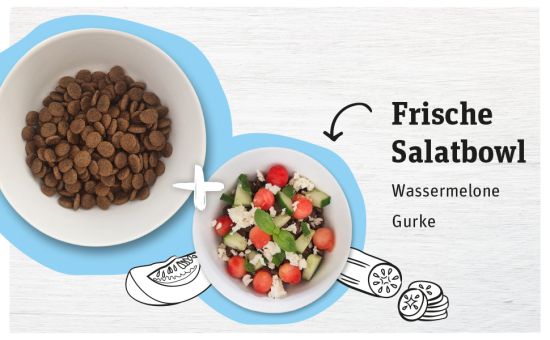 Saisonkalender_Juli_Rezept_970x600