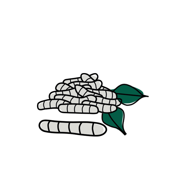 Insekten