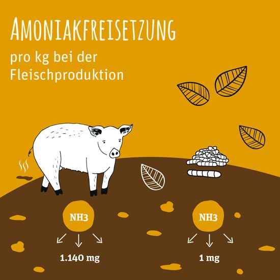 Amoniakfreisetzung_550