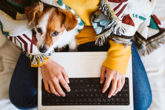 Homeoffice_mit_Hund_Bild2