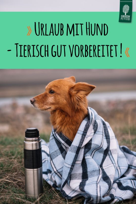 pin-urlaub-mit-hund