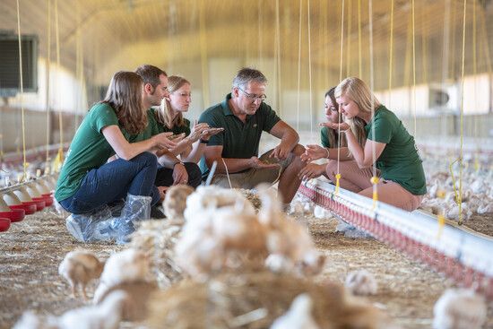 180726_Green_Petfood_Privathof_33340-2