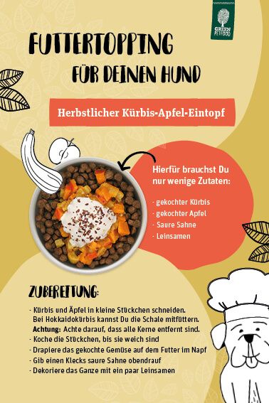 2699_GPF_Infografik_Hund im Herbst_ Rezept-Kuerbis-Apfel-Eintopf_tpng