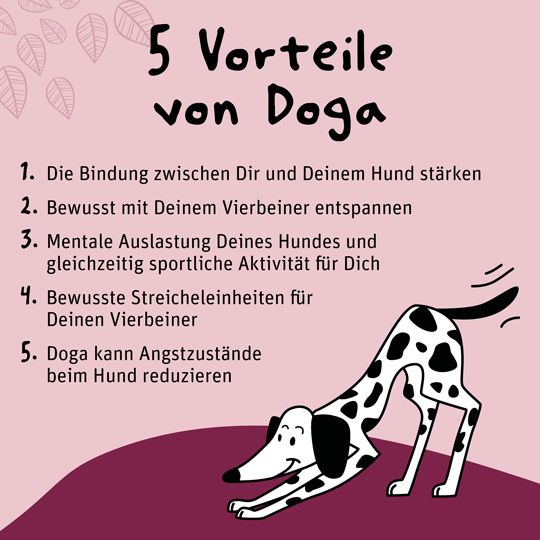 infografik-yoga-mit-hund