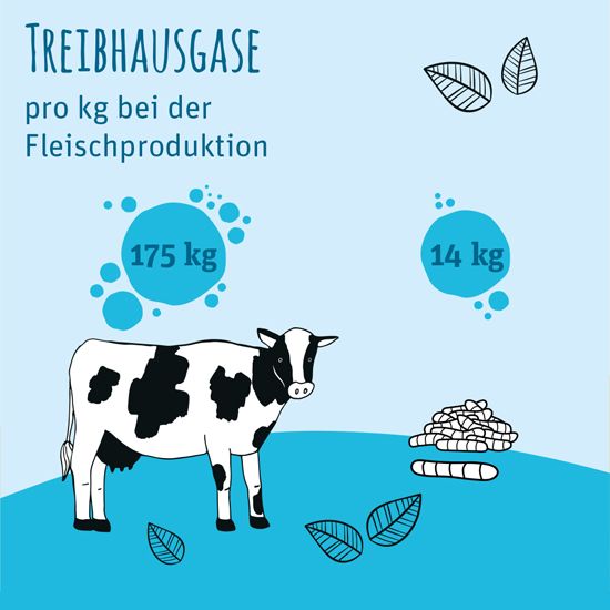 Treibhausgase_550