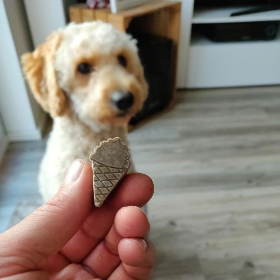 DIY-Hundeeis4