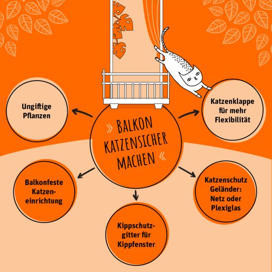 Balkon-katzensicher-machen