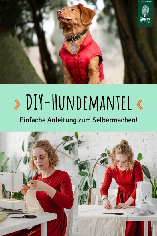 pin-hundemantel