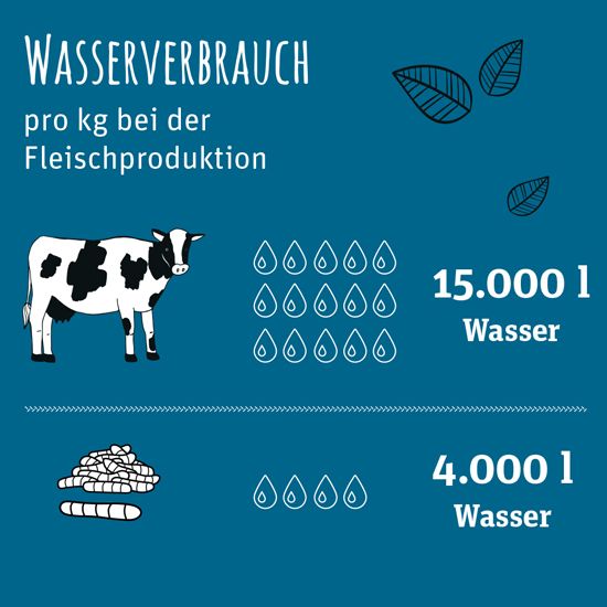 Wasserverbrauch_550