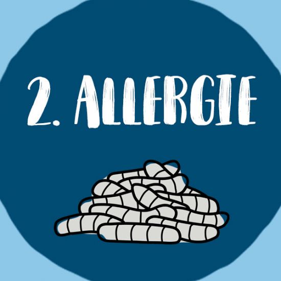 3-Gründe-für-InsectDog-Allergie