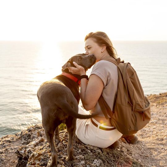 urlaub-mit-hund