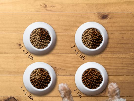 Post_How-to-switch-dog-food_1200x900px