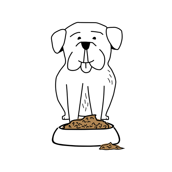 Green Petfood Nassfutter Hund