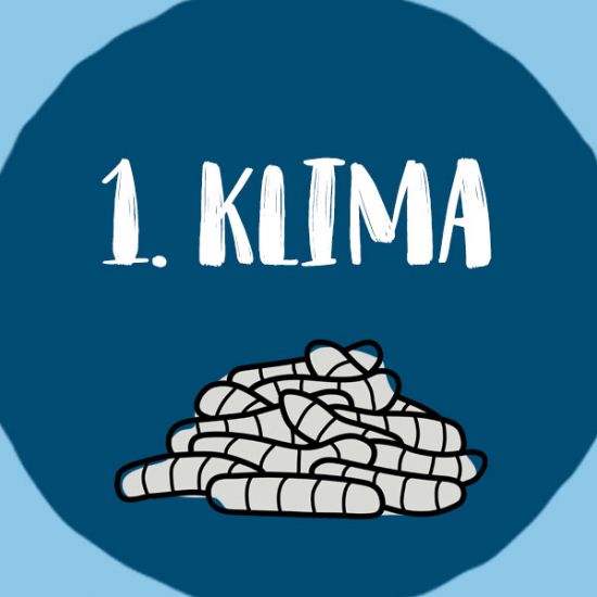 3-Gründe-für-InsectDog-Klima