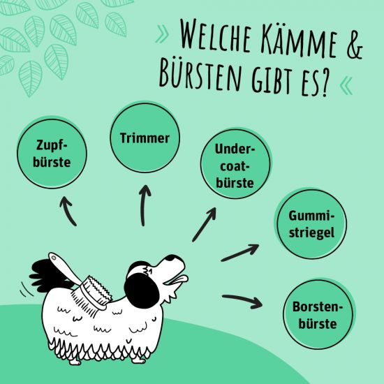 Infografik-Fellwechsel