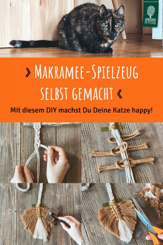 pin-makramee-katzenspielzeug-diy