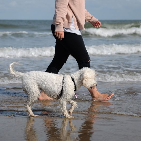 Lary und Emma am Meer2_1100 x 1100 px