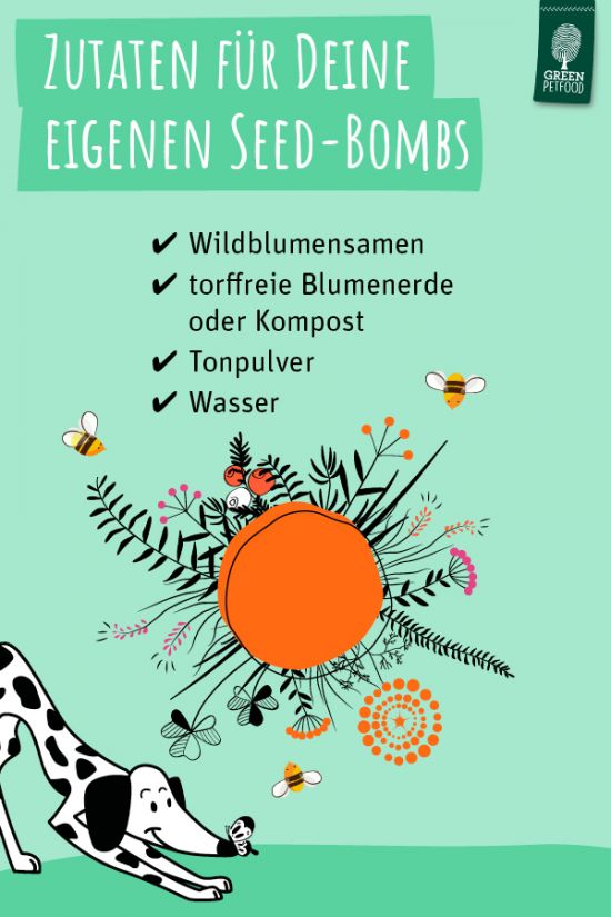 117_GPF_Infografik_SeedBomb_600x900_RZ