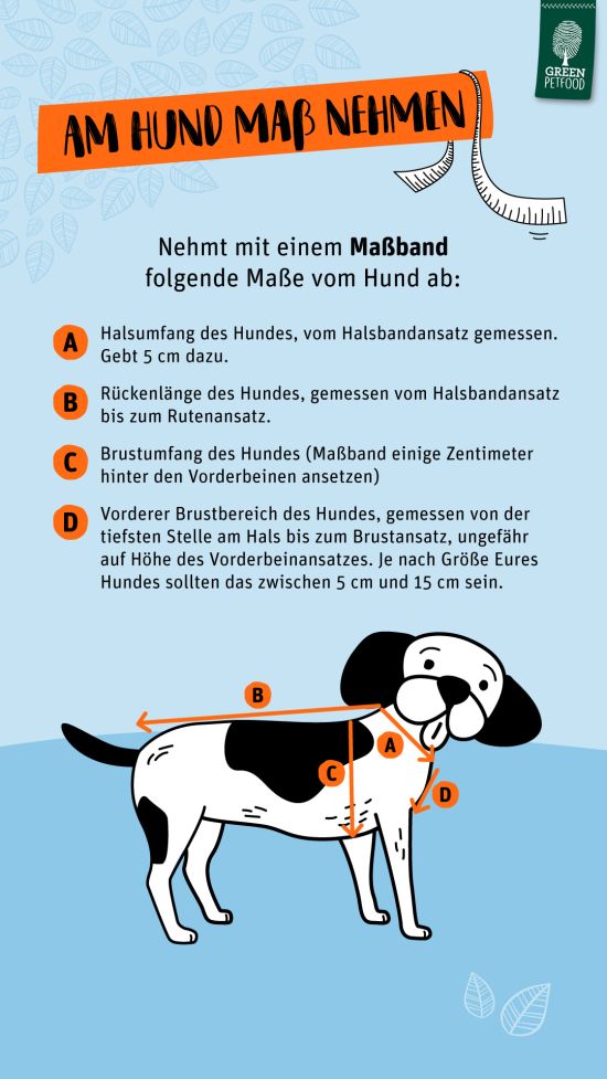 Infografik Hund abmessen um Hundemantel selber zu nähen