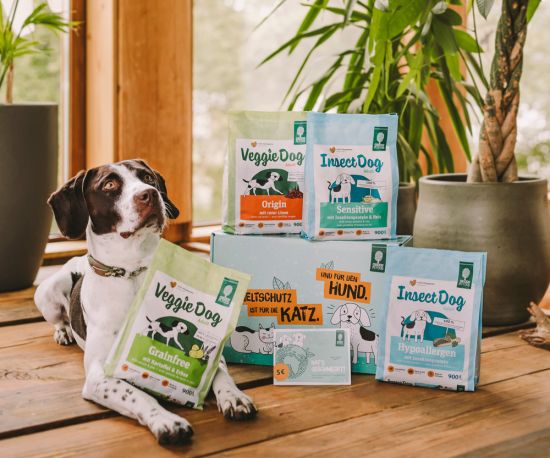 Probierpaket-Hund