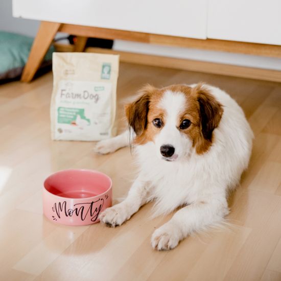 Blogpost-Handlettering-napf-greenpetfood