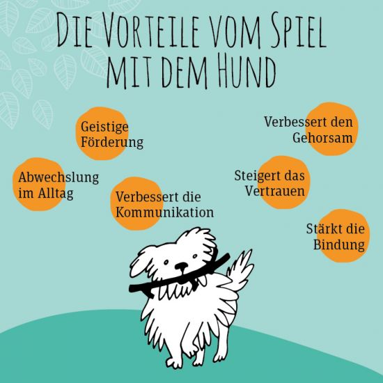 Infografik_GPF_Beschäftigung-Hund