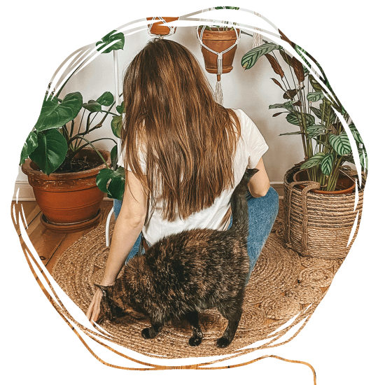 Lilly-Vorstellung