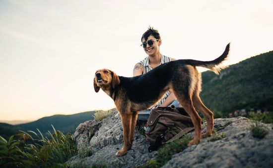 Hund_nachhaltigleben_shutterstock_713053885_Beitragsbild_970x600