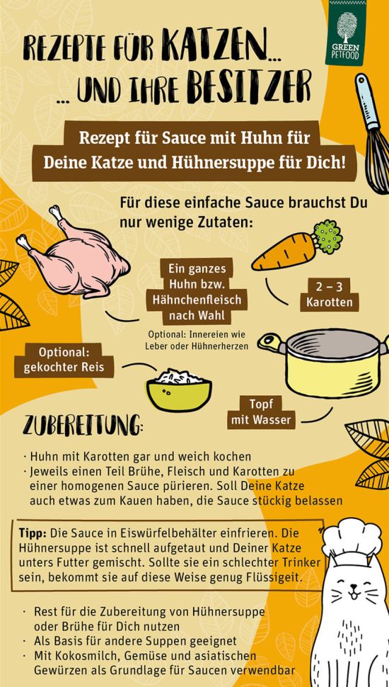 Rezept für Katzen und Besitzer Sauce mit Huhn und Hühnersuppe