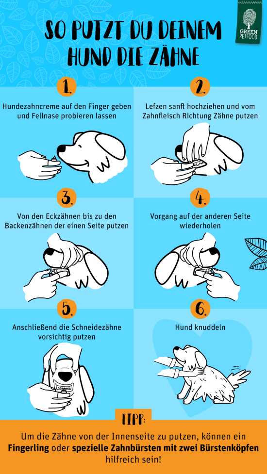 Infografik_Zahnpflege-Hund_1080x1920px